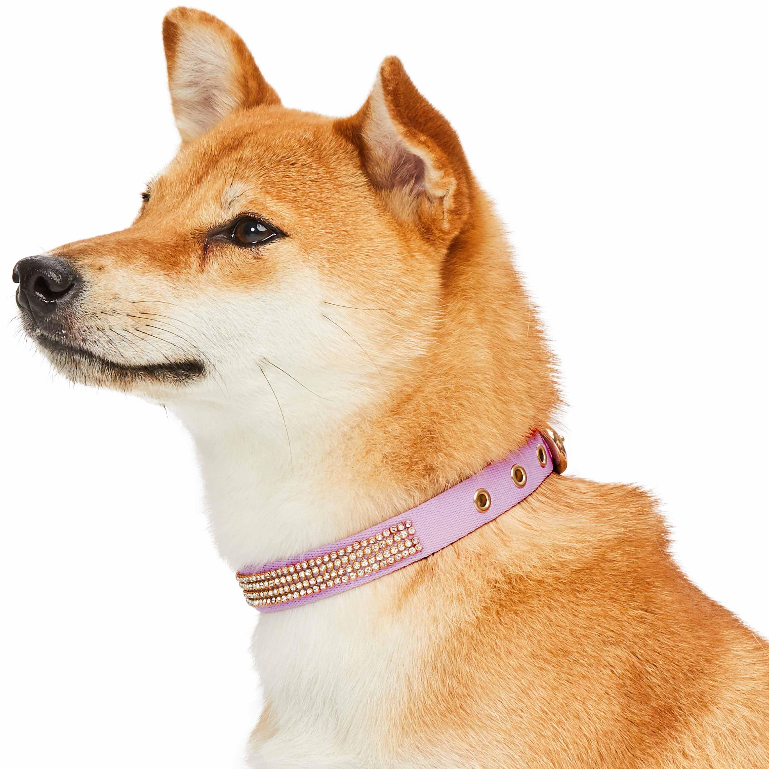 Blueberry Pet - Wholesale Pet Collar - Dog - 4 Colors, Bling Crystal Rhinestone Dog Collars17