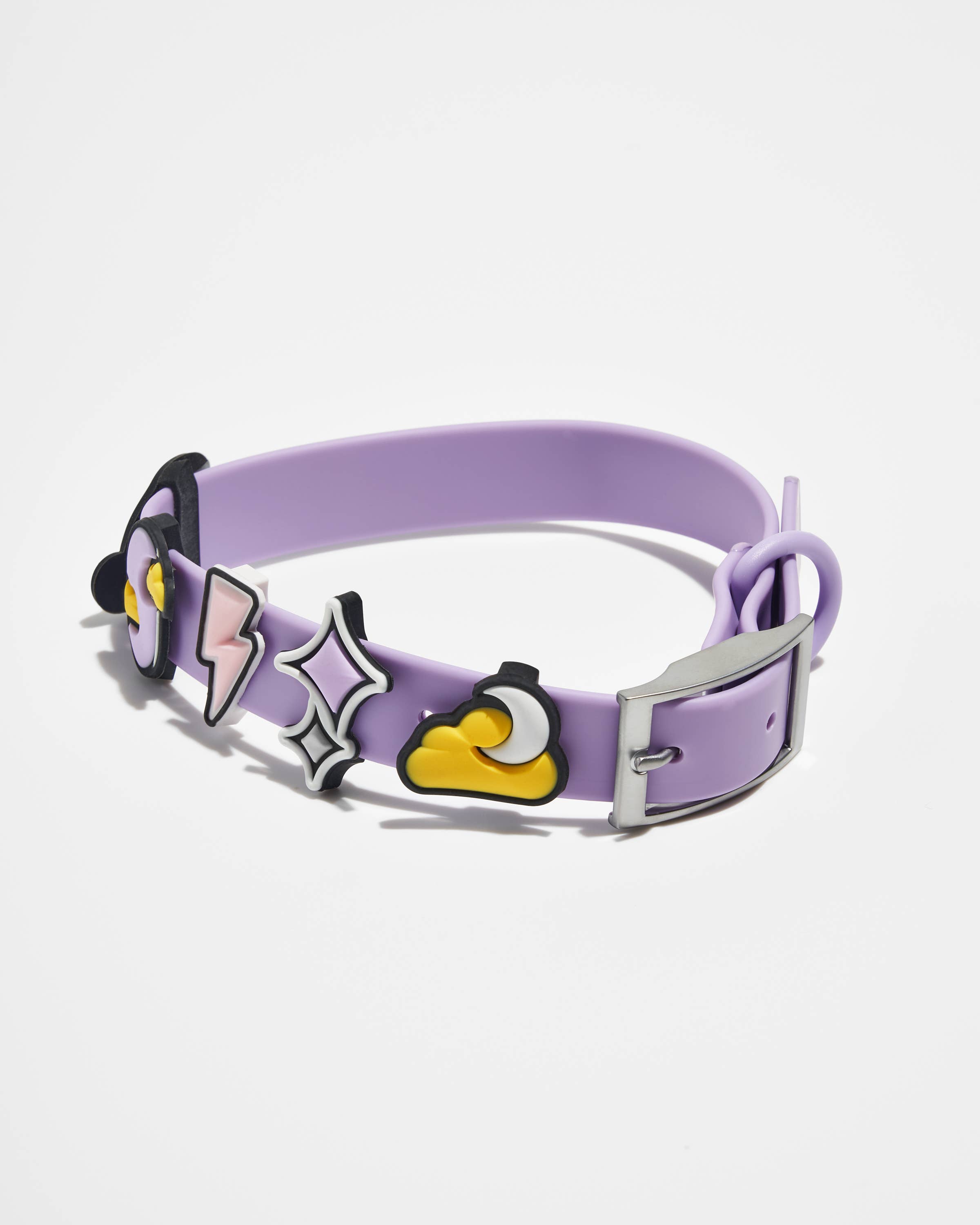 Wild One - Wholesale Pet Collar Charm - Cat/Dog - Flair Collar and Leash Charm Pack Accessories10