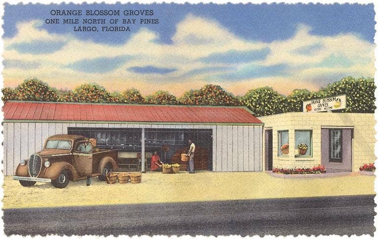 Found Image Press - Wholesale Postcard - Postcard FL-1085 Fruit Stands, Largo, Florida0