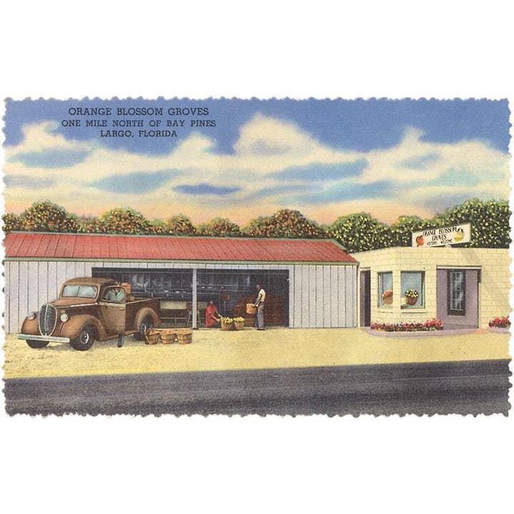 Found Image Press - Wholesale Postcard - Postcard FL-1085 Fruit Stands, Largo, Florida