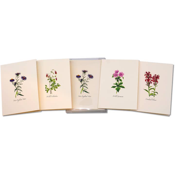 Earth Sky + Water - Wholesale Stationery/Notecard Set - Meadow Wildflower Asst.