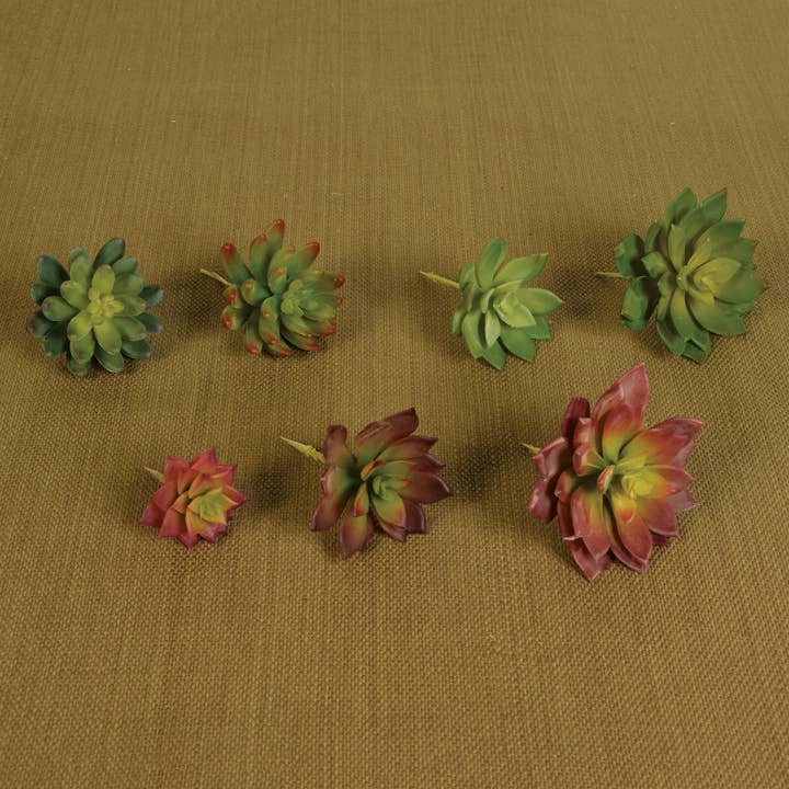 HomArt - Wholesale Succulent - Faux Succulent - Lrg - Green