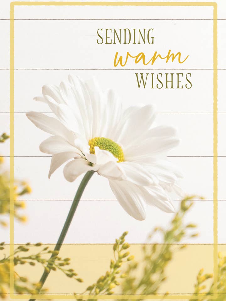GW/Daisy Wishes for wholesale by Greeting Cards by Norcard