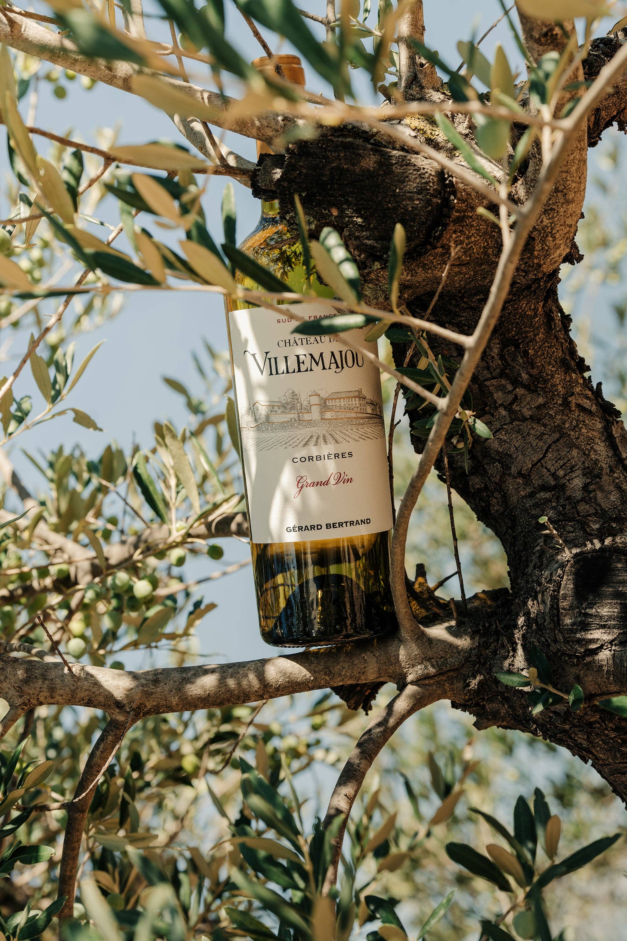 Gérard Bertrand – Engroshandel Hvidvin – Château de Villemajou Grand Vin 2023 75cl hvidvin corbières2