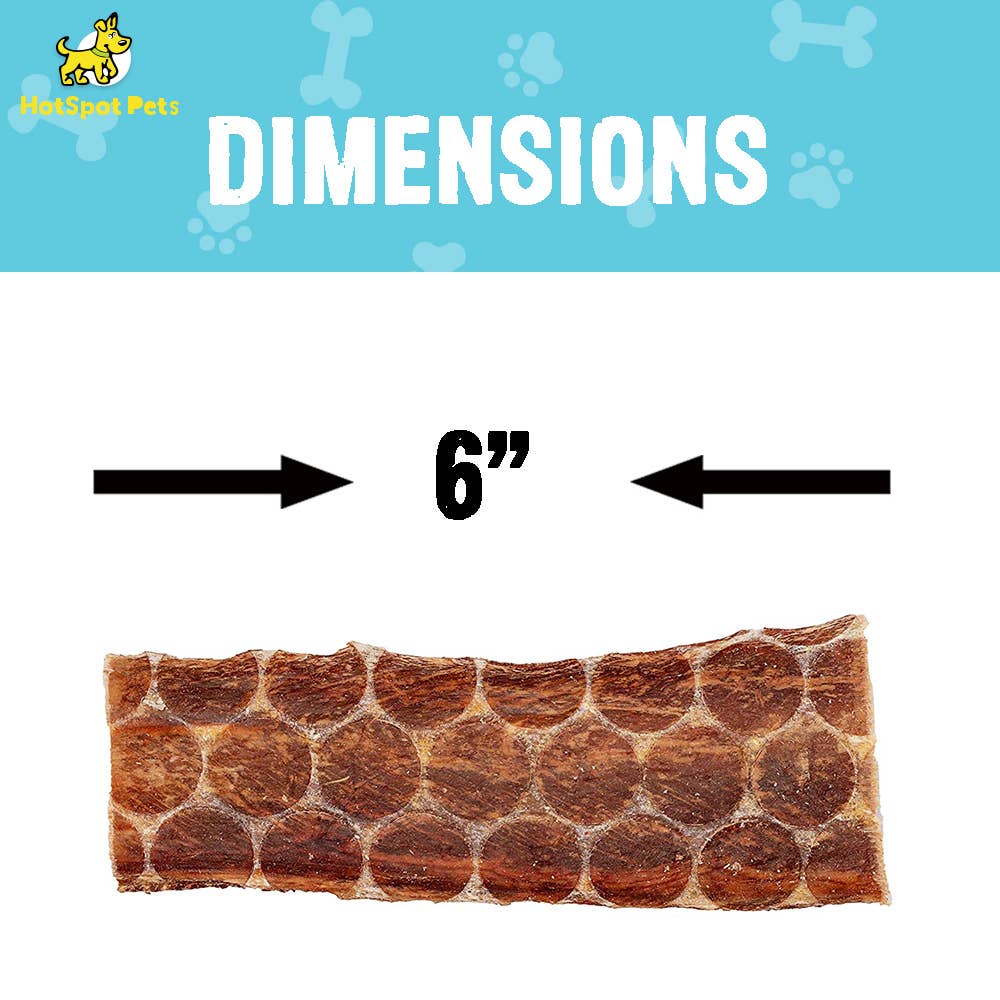 Hotspot Pets - Wholesale Pet Treats - Dog - 6'' Flat Beef Gullet Strips Dog Chew Treats, 12,24 & 50 CNT2