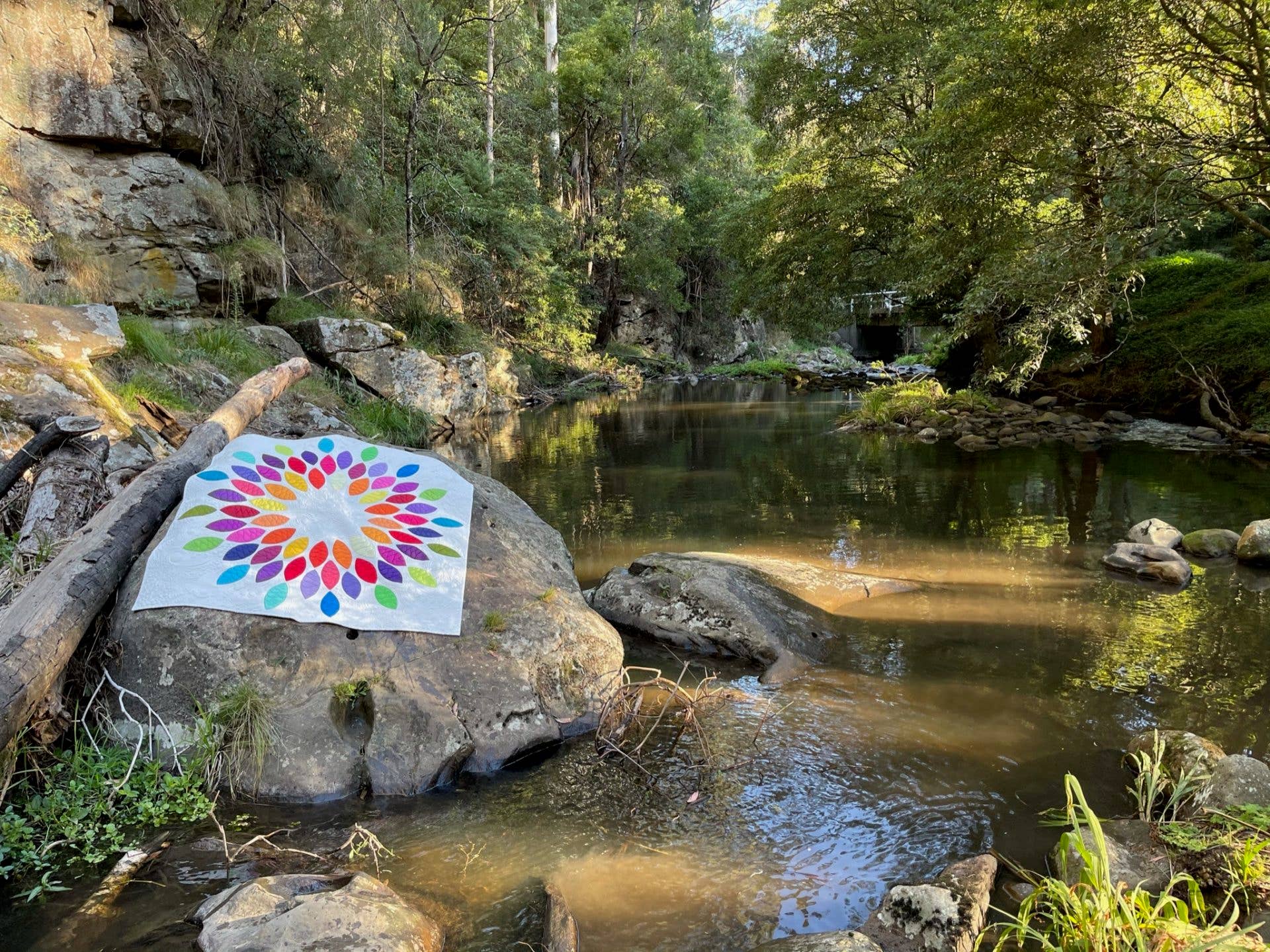 Free Bird Quilting Designs – Engroshandel DIY-sysæt – Frøeksplosionsmønster4