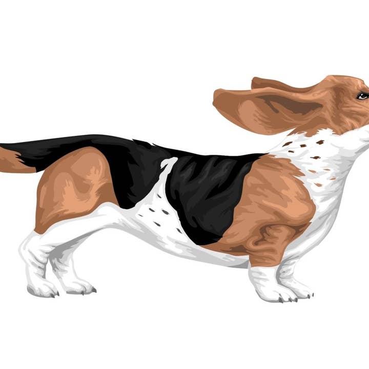 Bassett Hound-stickers voor wholesale door Cover-Alls Decals