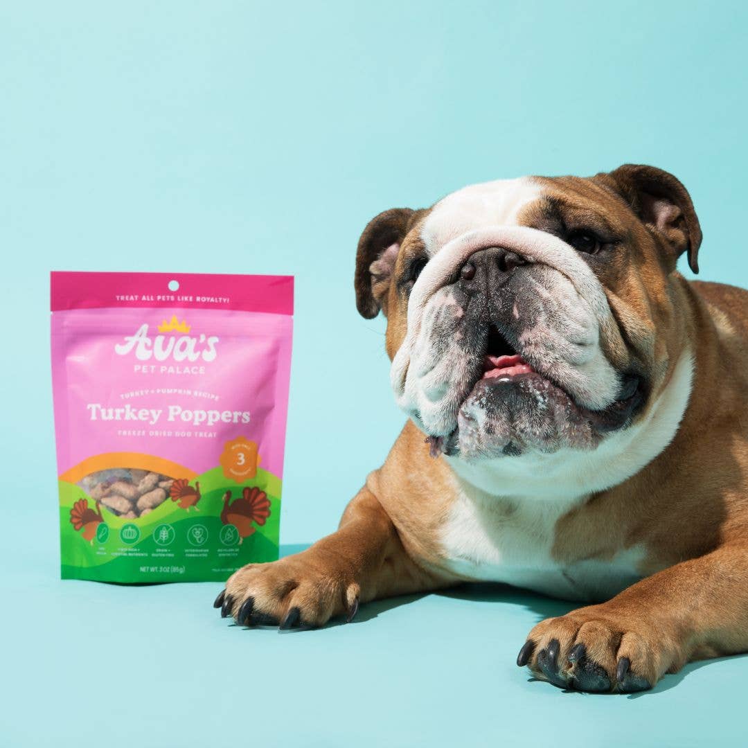 Ava's Pet Palace - Wholesale Pet Treats - Dog - Freeze Dried Dog Treats - Turkey + Pumpkin4