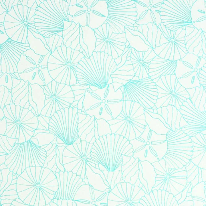 Schelpen - Crème/Turkoois voor wholesale door MIDORI Inc.