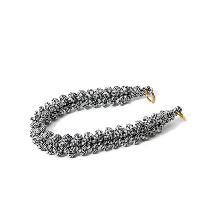 Petite queue de poisson à chevrons mouchetés pour la vente par Très Gelée