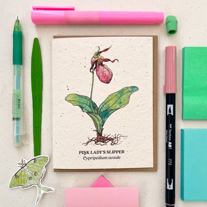 Lady's Slipper Plantable Wildflower Seed Card for wholesale by Small Victories