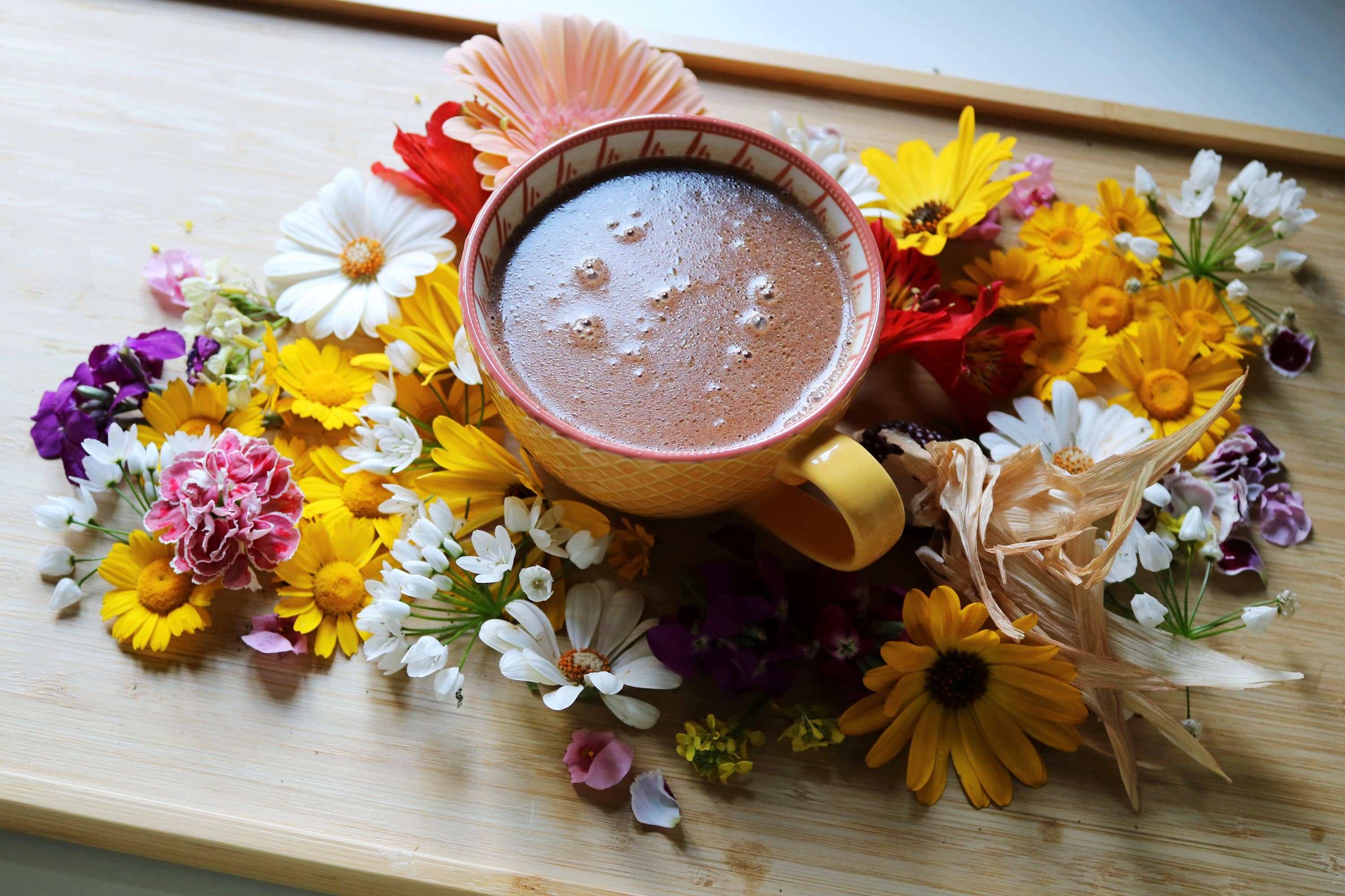 Ayamani Naturals - Vendita all'ingrosso Mix per cioccolata calda - Pasta di Cacao Cerimoniale in Blocchi 100% Criollo8