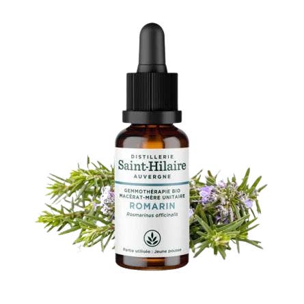 Ecohesens - Wholesale Oral Supplement/Vitamin - Organic Rosemary Macerate - 30 ml - Saint Hilaire