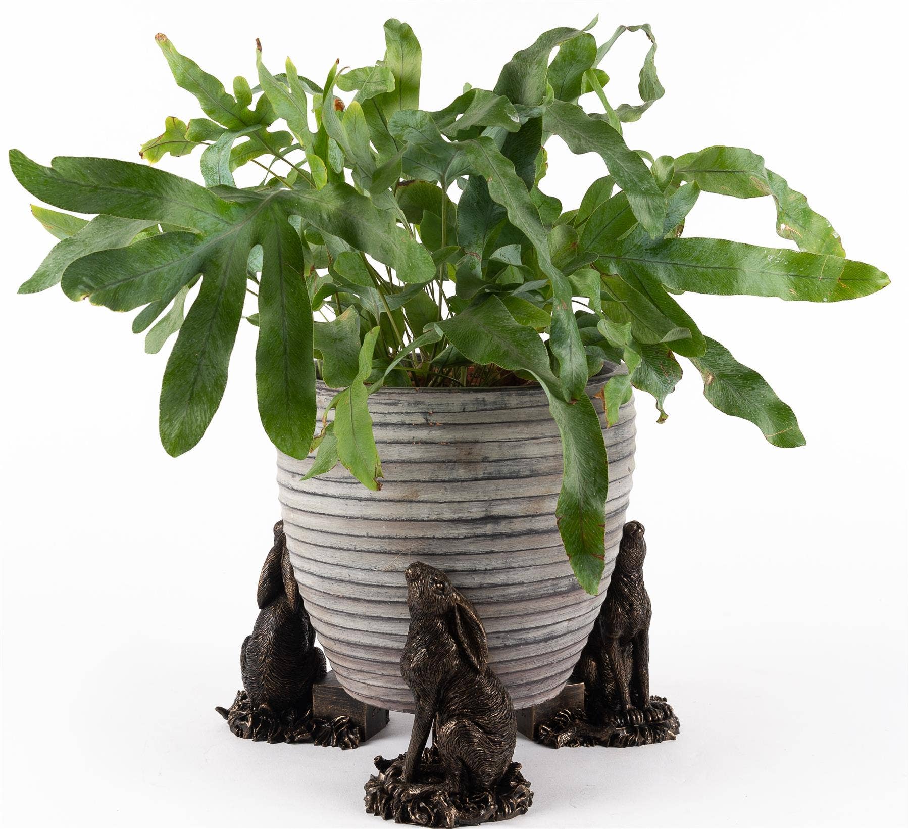 Jardinopia US - Wholesale Plant Pot - Moongazing Hare Plant Pot Feet - Set of 33