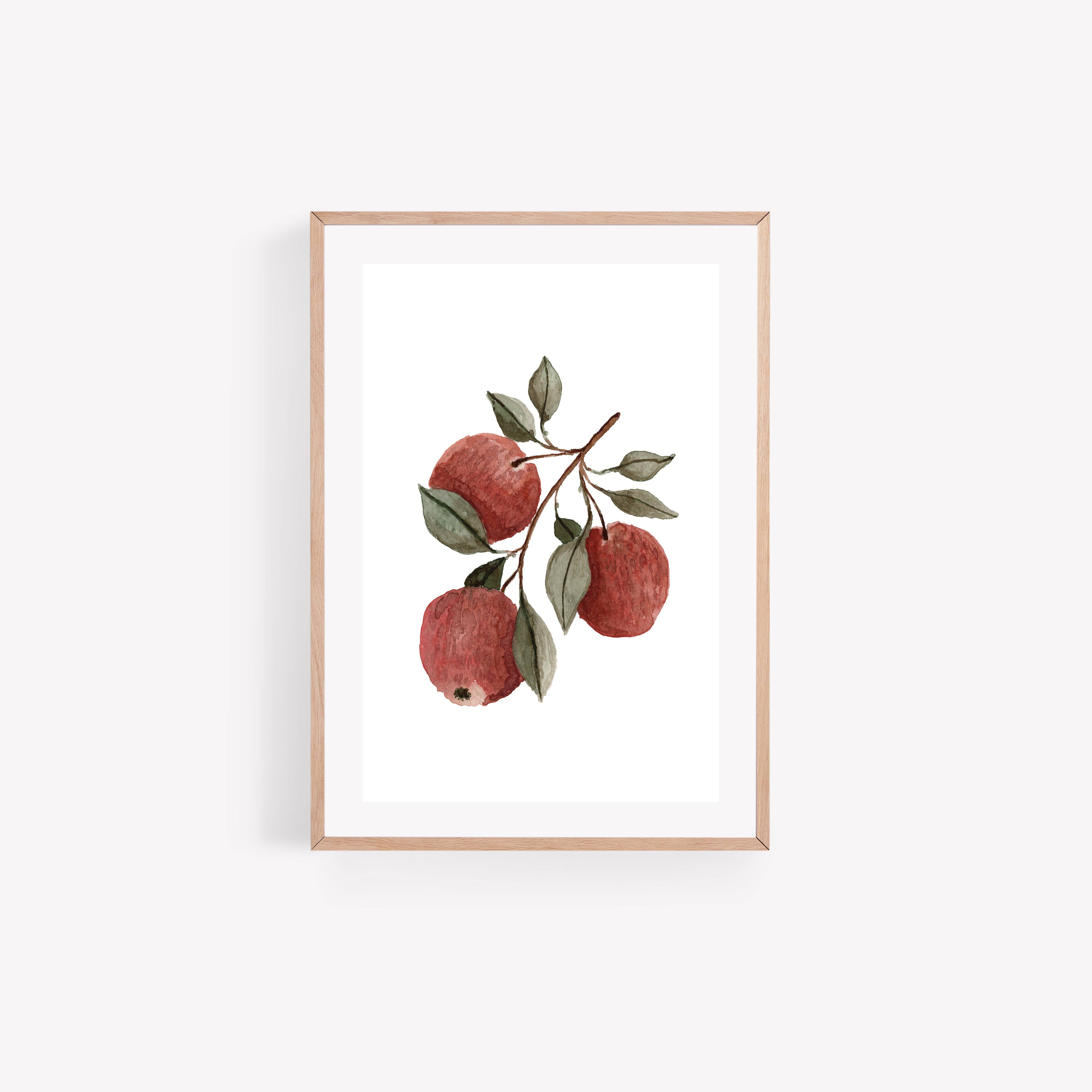 HeatherLucyJ Design - Wholesale Art Print - Red Apple Fruit Watercolour Art Print1