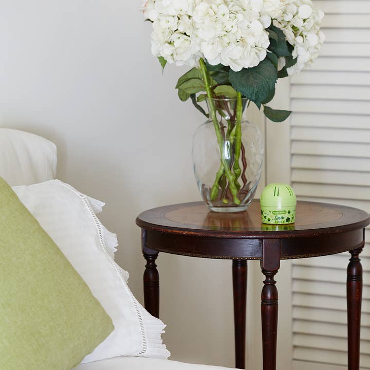 Humydry - Wholesale Air Freshener - HUMYDRY® Mini 2.6oz. Moisture Absorber/Air Freshener, Apple4