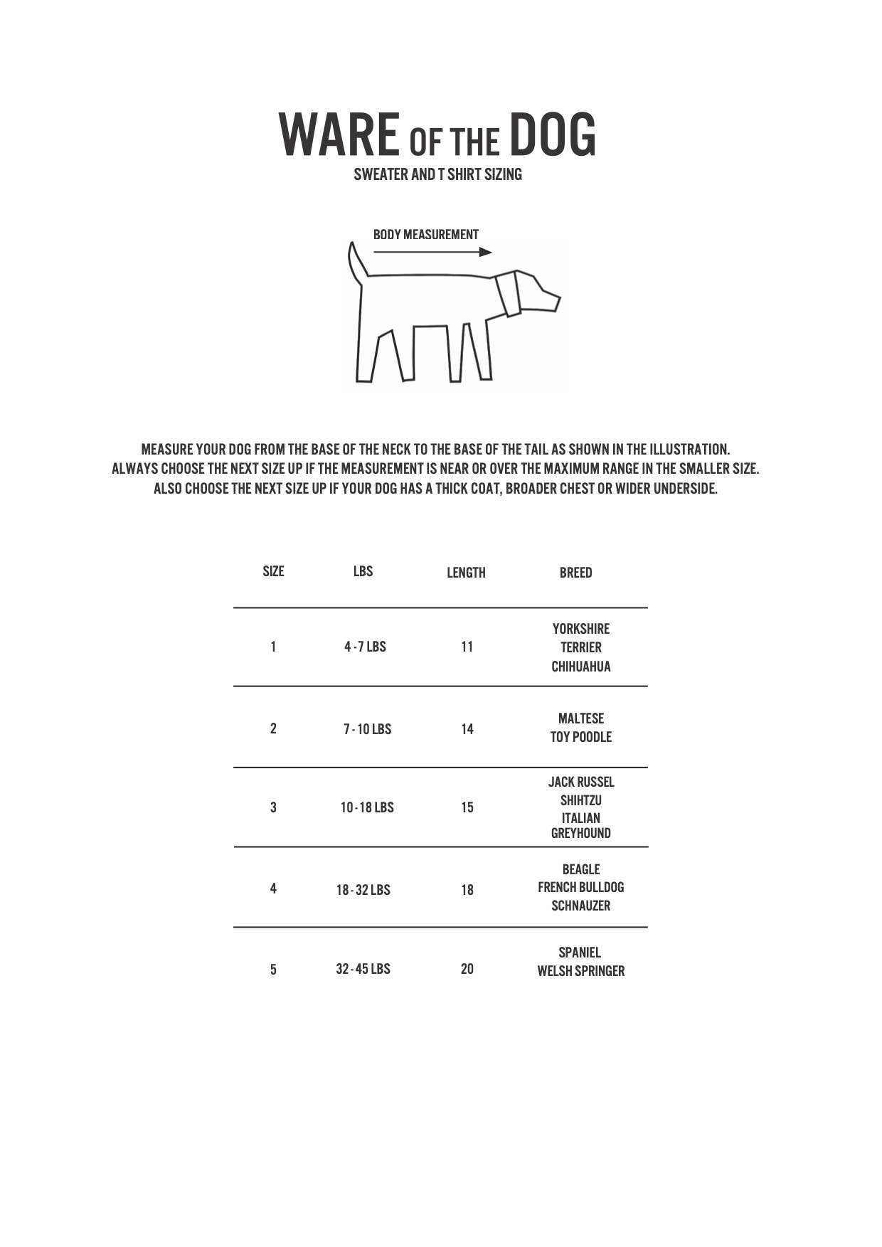 Avorio Maglione per cane avorio peloso in vendita all'ingrosso su Faire2