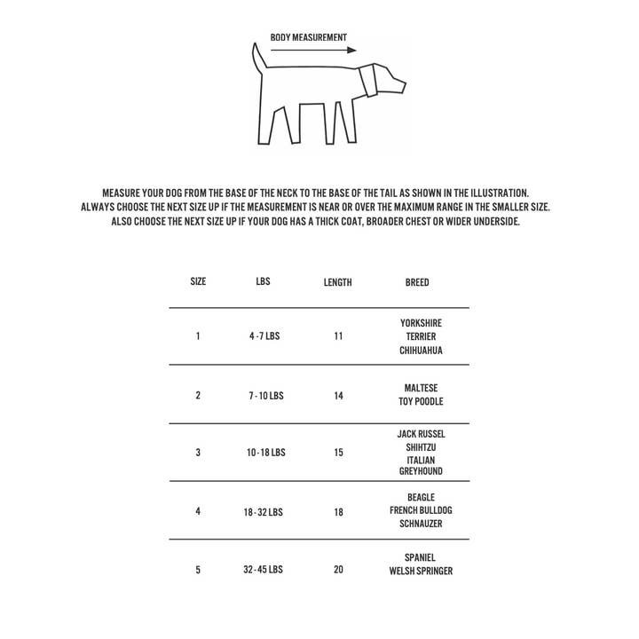 Avorio Maglione per cane avorio peloso in vendita all'ingrosso su Faire2