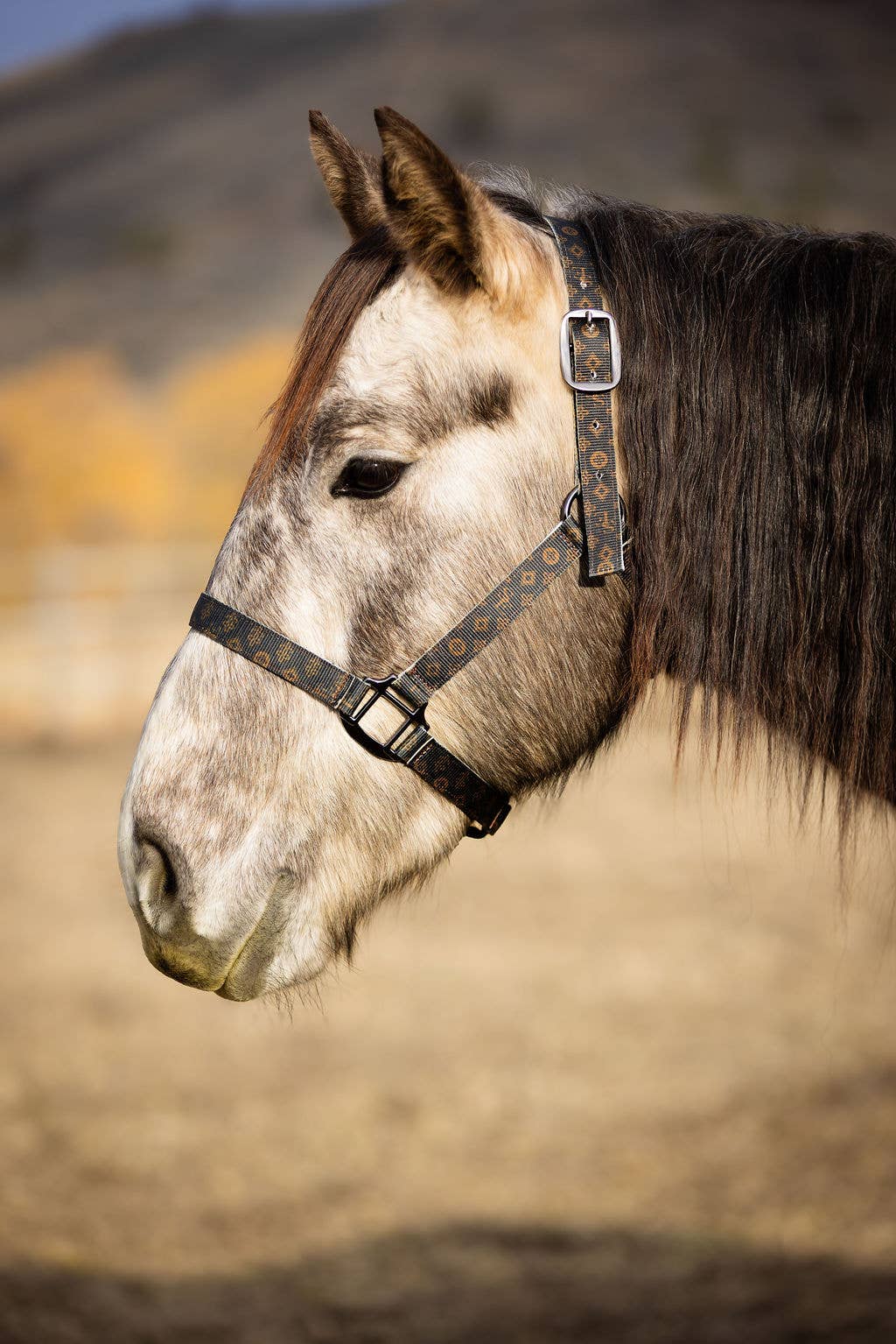 Schulz Equine - Wholesale Horseback Riding Gear - Nylon Halter - Horse Size35
