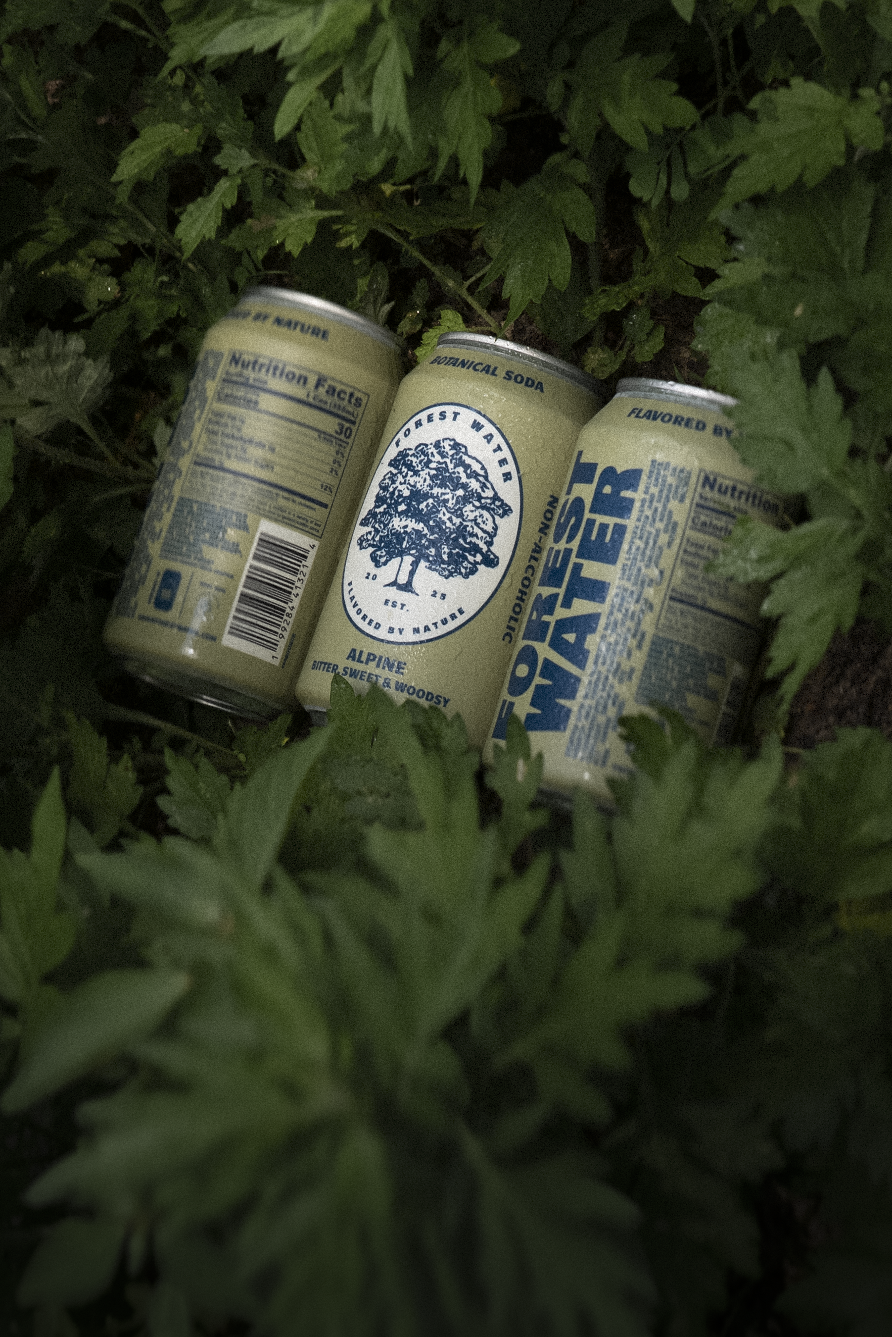 Walker Brothers - Wholesale Non-Alcoholic Aperitif/Mocktail - Alpine Forest Water | Non-Alc Botanical Soda1