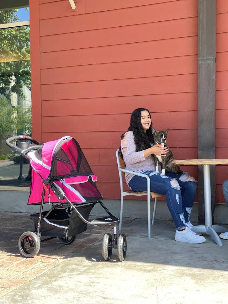 Petique - Wholesale Pet Carrier - Cat/Dog - Revolutionary Pet Stroller22