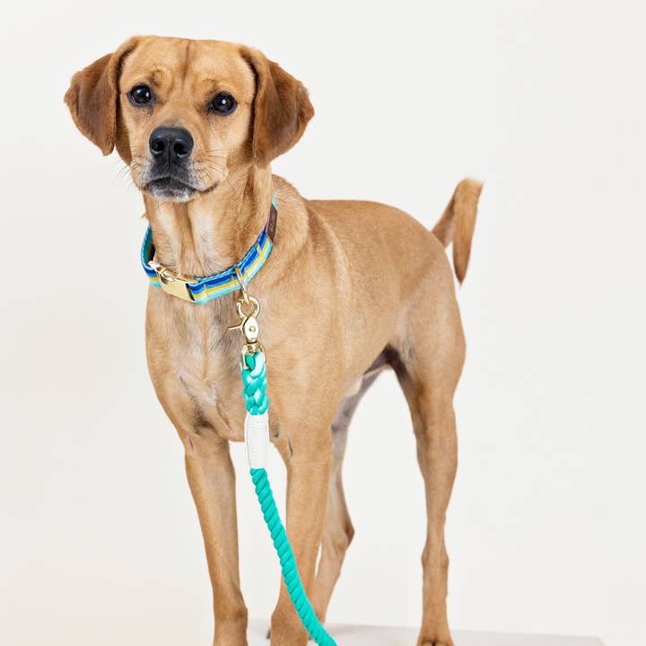 Pink Papyrus | Premium, Durable, & Stylish Dog Products - Wholesale Pet Leash - Dog - Ariel Rope Dog Leash | Dog Leash | Green Leash1