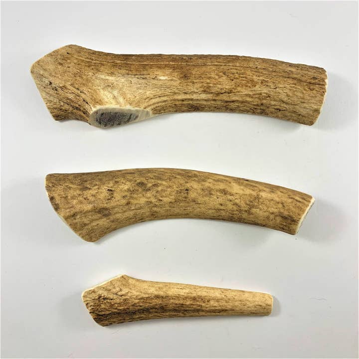 Super Dog Chew WHOLE Natural Australian Deer Antler Chew for wholesale by Super Dog Chew