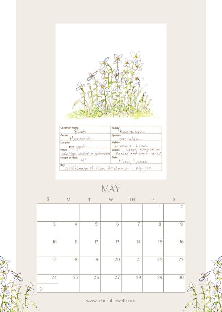 Rebekah Lowell Creative Studio - Wholesale Calendar - 2026 Wildflower Wall Calendar5