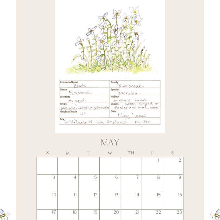 Rebekah Lowell Creative Studio - Wholesale Calendar - 2026 Wildflower Wall Calendar5