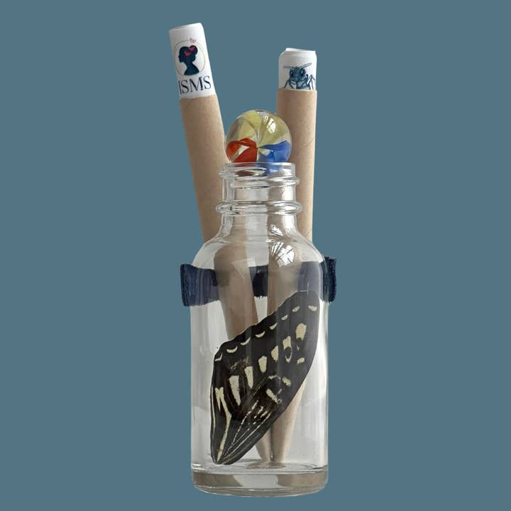 Isms - Wholesale Decorative Tabletop Object - Real Standard Butterfly Wing in Glass Bottle9