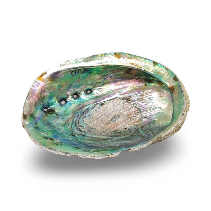 Arômes & Évasions – wholesale Smudge plate – Smudging - Abalone Shell