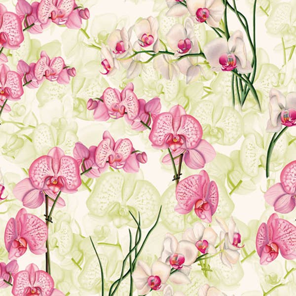 Orchidee - 70 x 100 cm für den Großhandel von Grafiche Tassotti