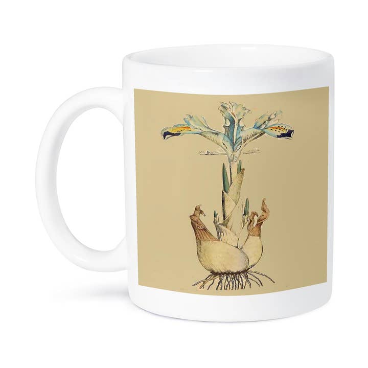 3dRose – Großhandel Kaffeebecher – 3dRose, Druck eines persischen Irisgewächses aus dem Jahr 1700, Tasse8