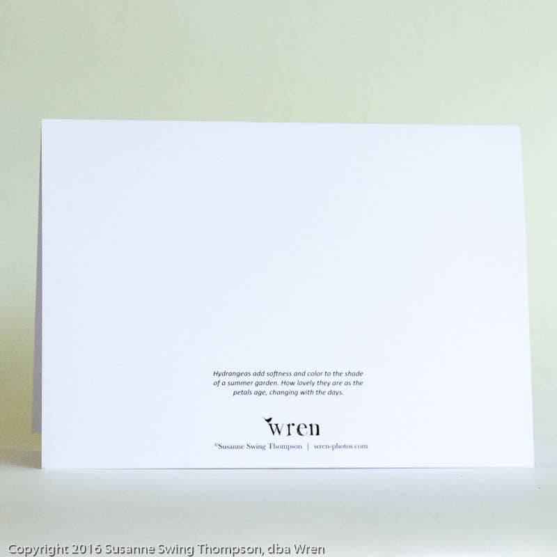 Wren - Wholesale Everyday Greeting Card - Hydrangea (Blank inside) Greeting Card2