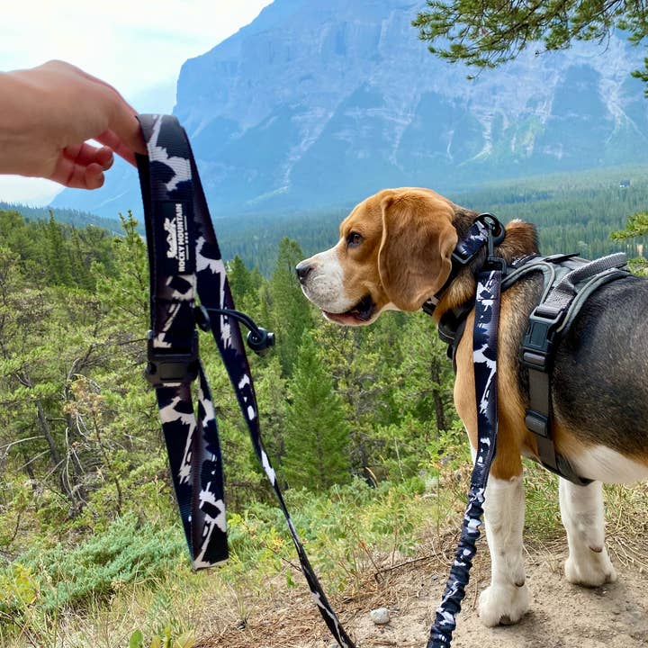 Rocky Mountain Dog - Vendita all'ingrosso Guinzaglio - Cani - Guinzaglio per cani da montagna a mani libere - 6 piedi o 8 piedi - The Grizzly3
