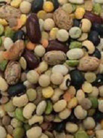 BEAN SOUP MIX - BULK PACK for wholesale by Hudson Meat Company