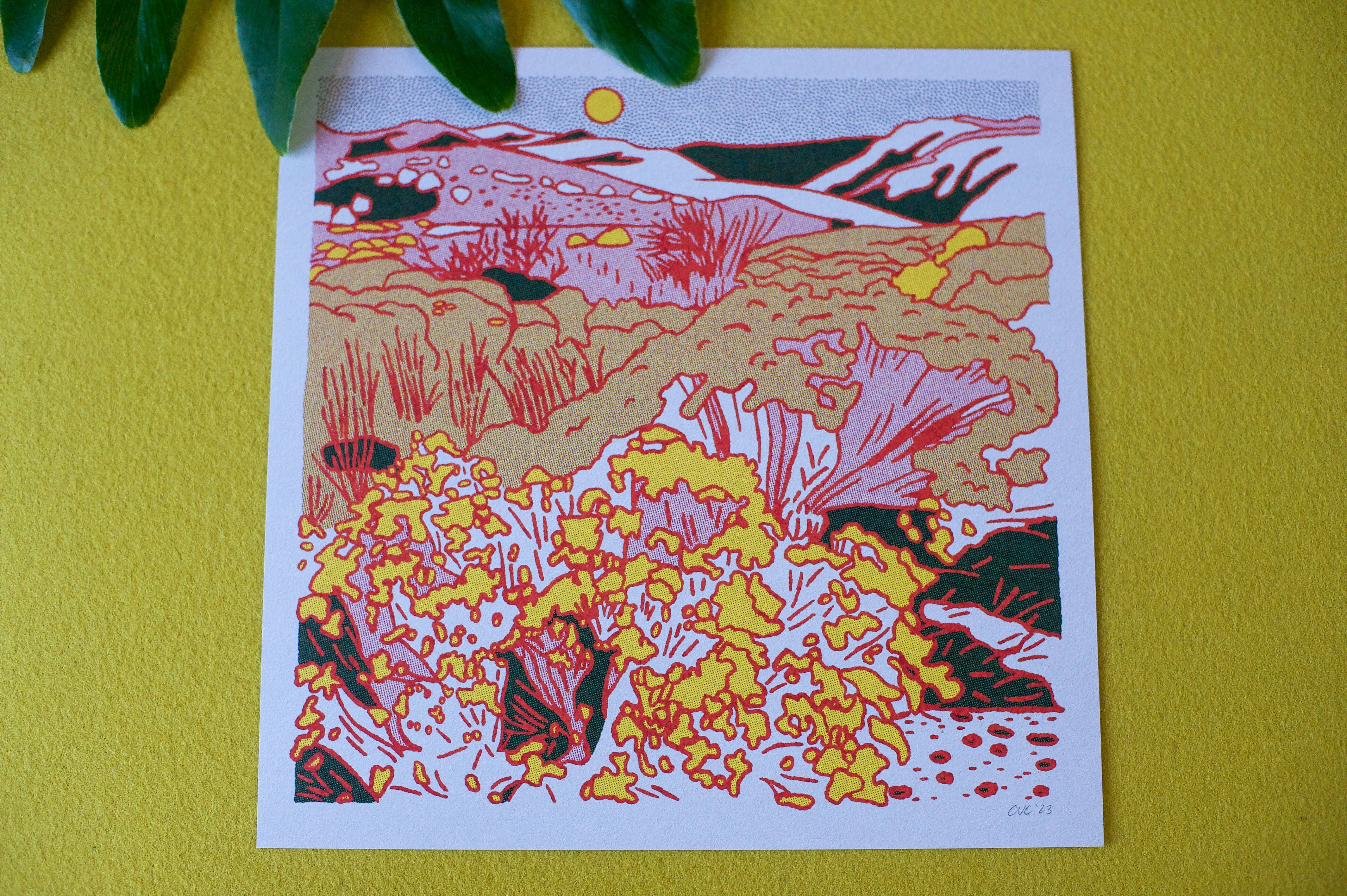 Caroline Clark - Wholesale Art Print - Desert Mountain #24