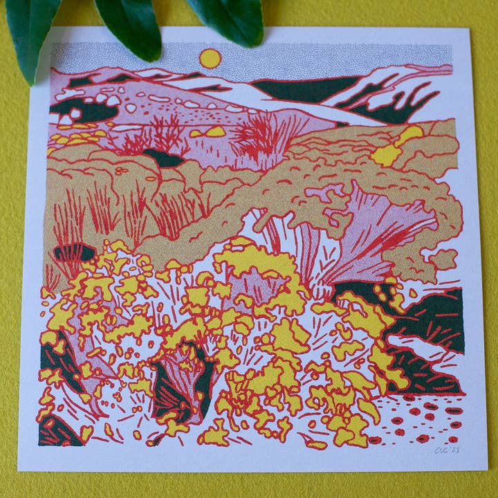 Caroline Clark - Wholesale Art Print - Desert Mountain #24