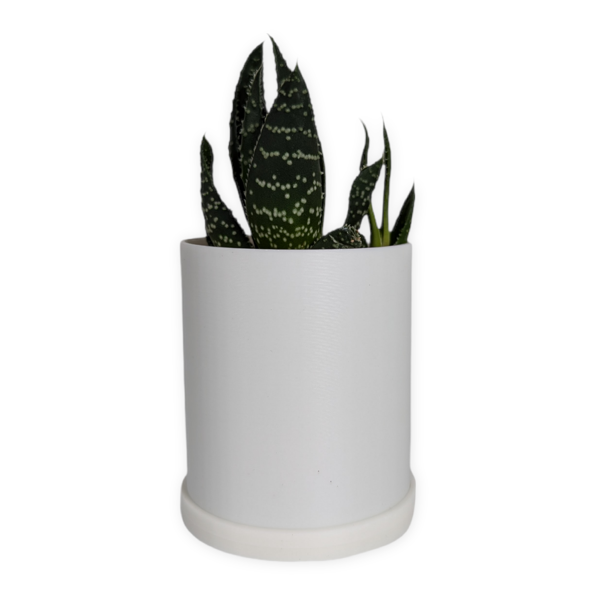 Leafprints.3d - Wholesale Plant Pot - The Pebble – 2 Inch Planter with Drip Tray17