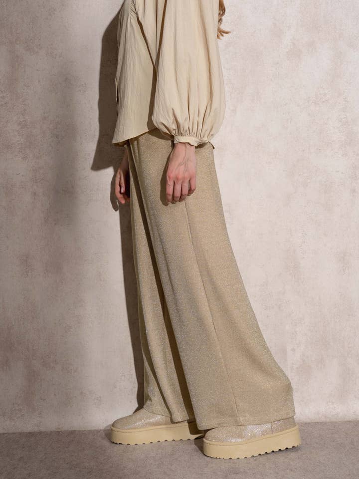 SMF - Wholesale Pants - Women's - 259615 - CALÇAS 65%VI 30%LUREX 5%ET2