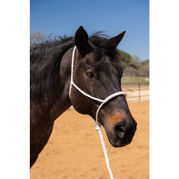 Focinheira de Nariz Branca de Fita de Mula por atacado de Rodeo Drive