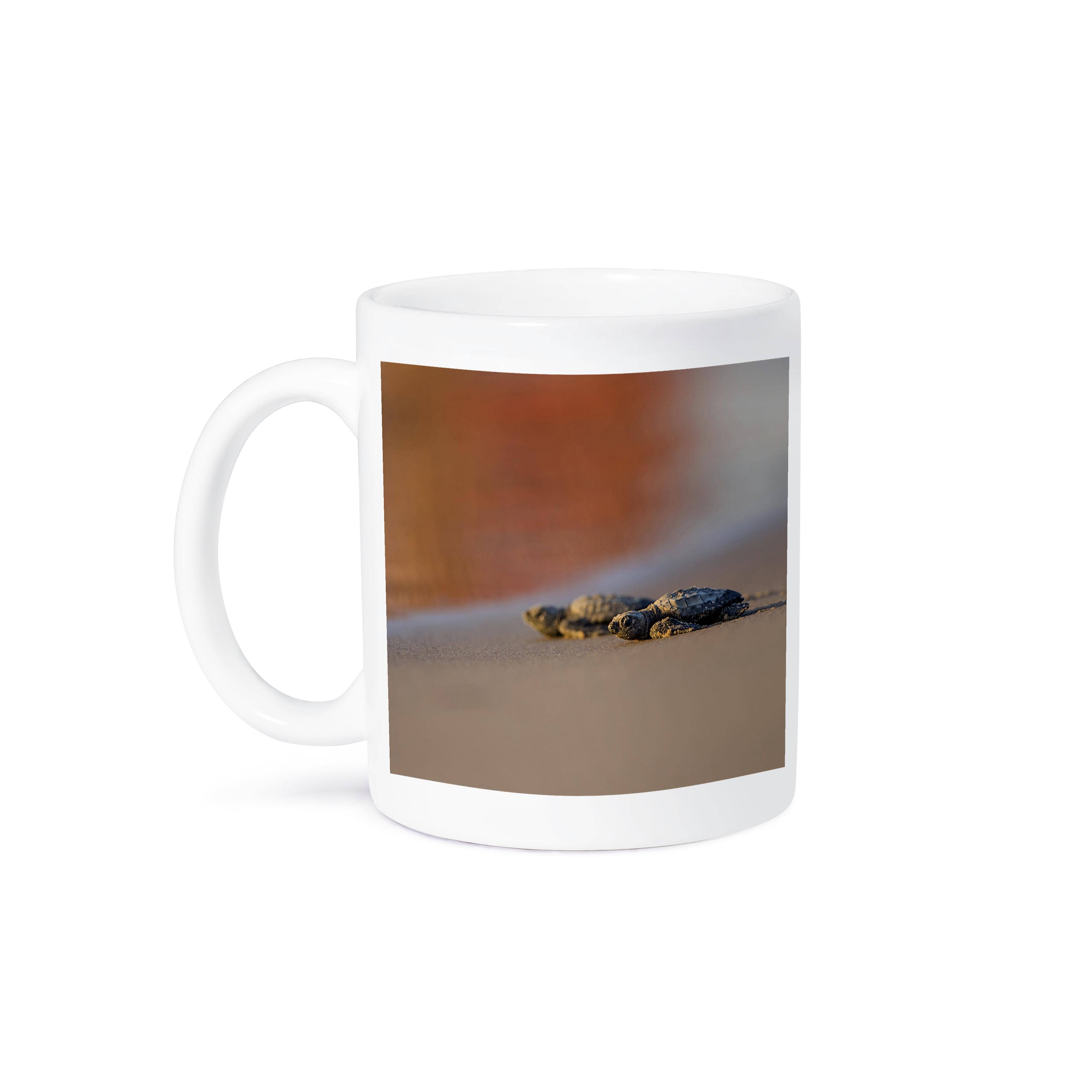 3dRose - Wholesale Coffee Mug - 3dRose, Kemps Ridley Sea Turtle, Lepidochelys kempii, hatchlings., Mug8