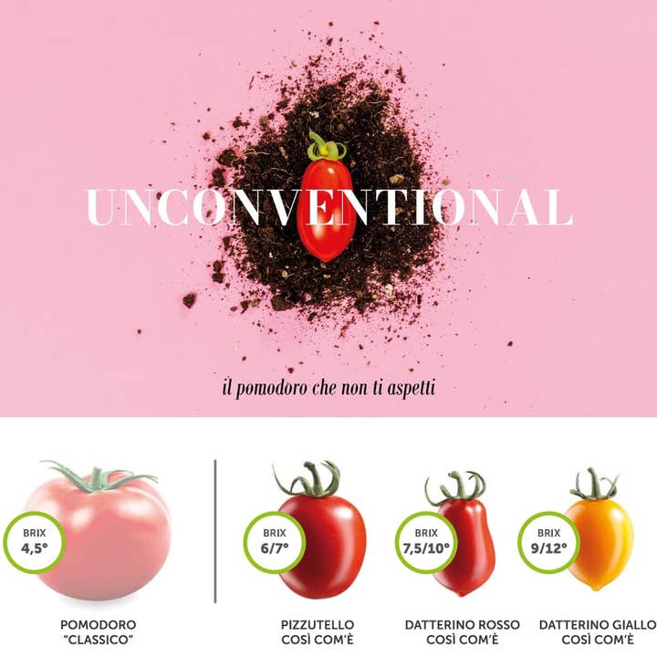 Wholesale Italian Food - Wholesale Pasta Sauce - Così Comè Datterini Tomatoes in Juice – 12.3 oz (350 g)2