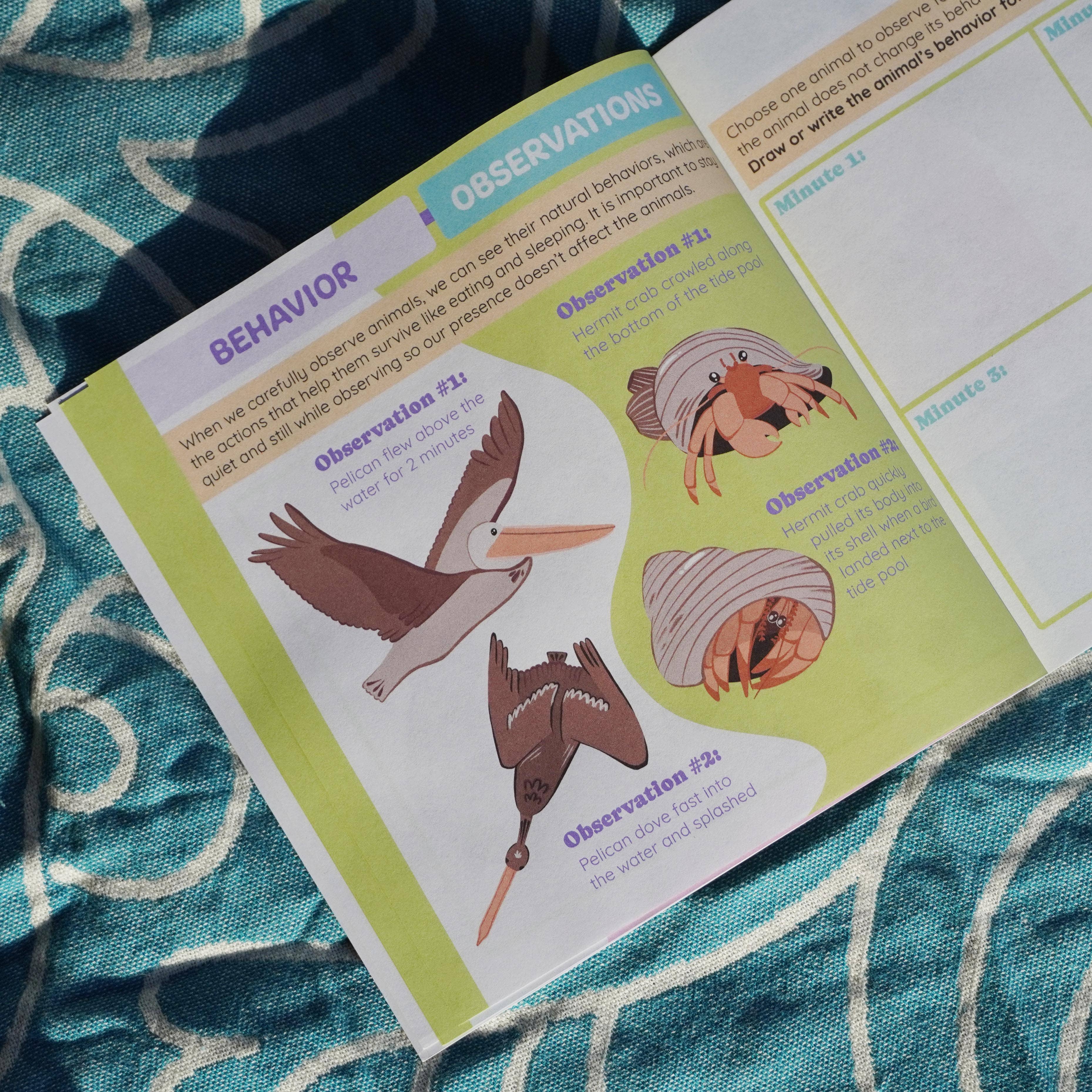 Environerd - Wholesale Nature & Outdoors - Beach Nature Journal8