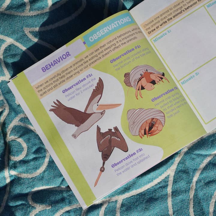 Environerd - Wholesale Nature & Outdoors - Beach Nature Journal8