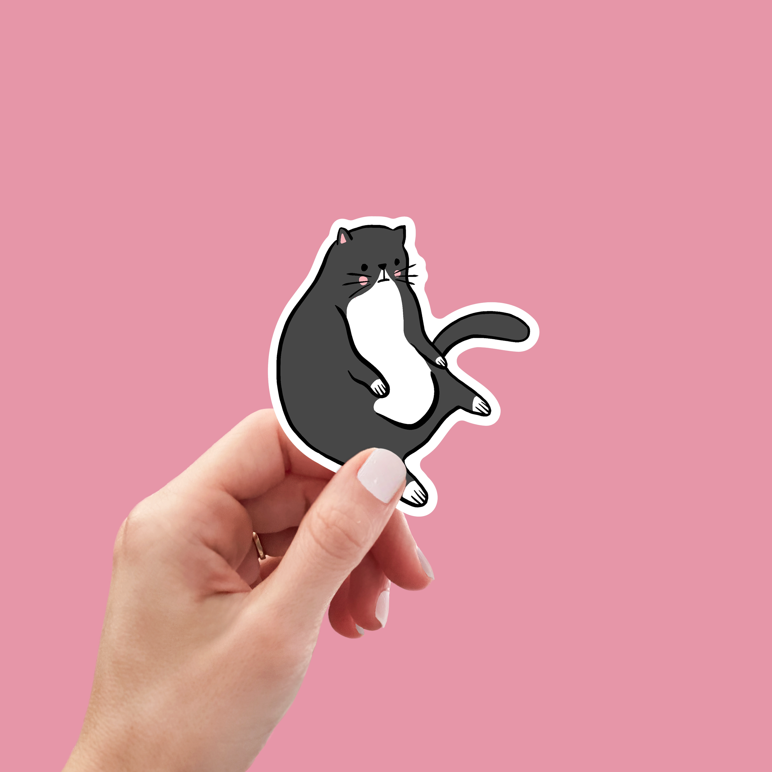 Copper & Print - Vendita all'ingrosso Adesivo - Adesivo Fat Cat Tuxedo1