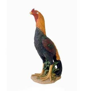 Coq Roco pour la vente par Natures Window