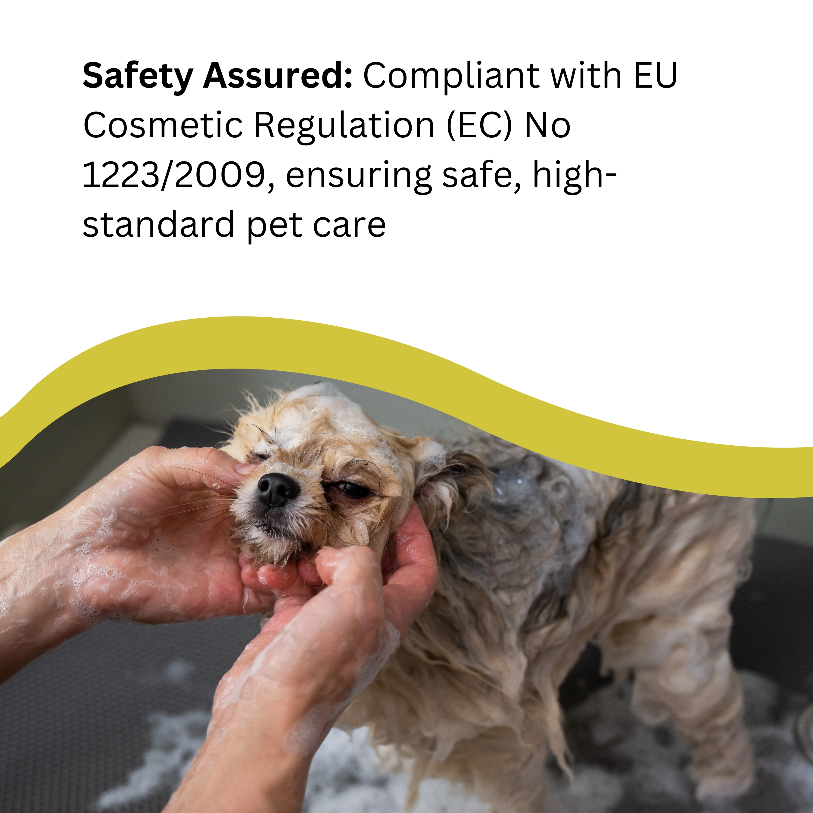 Natures Greatest Secret - Vente Shampoing – chien - Shampoing antibactérien à l'argent colloïdal pour chiens 250 ml5