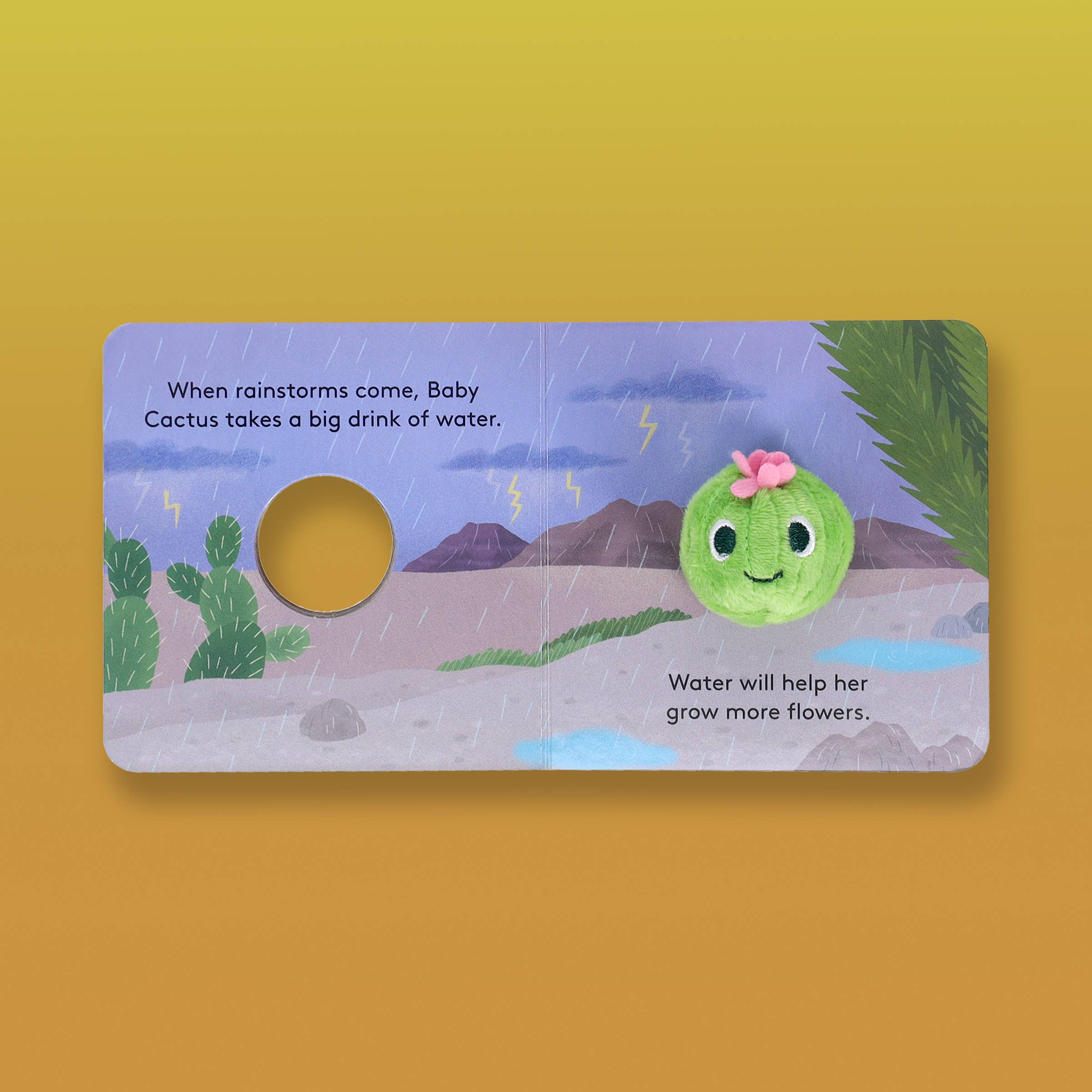 Chronicle Books - Wholesale Baby & Toddler Book (0-2) - Baby Cactus: Finger Puppet Book9