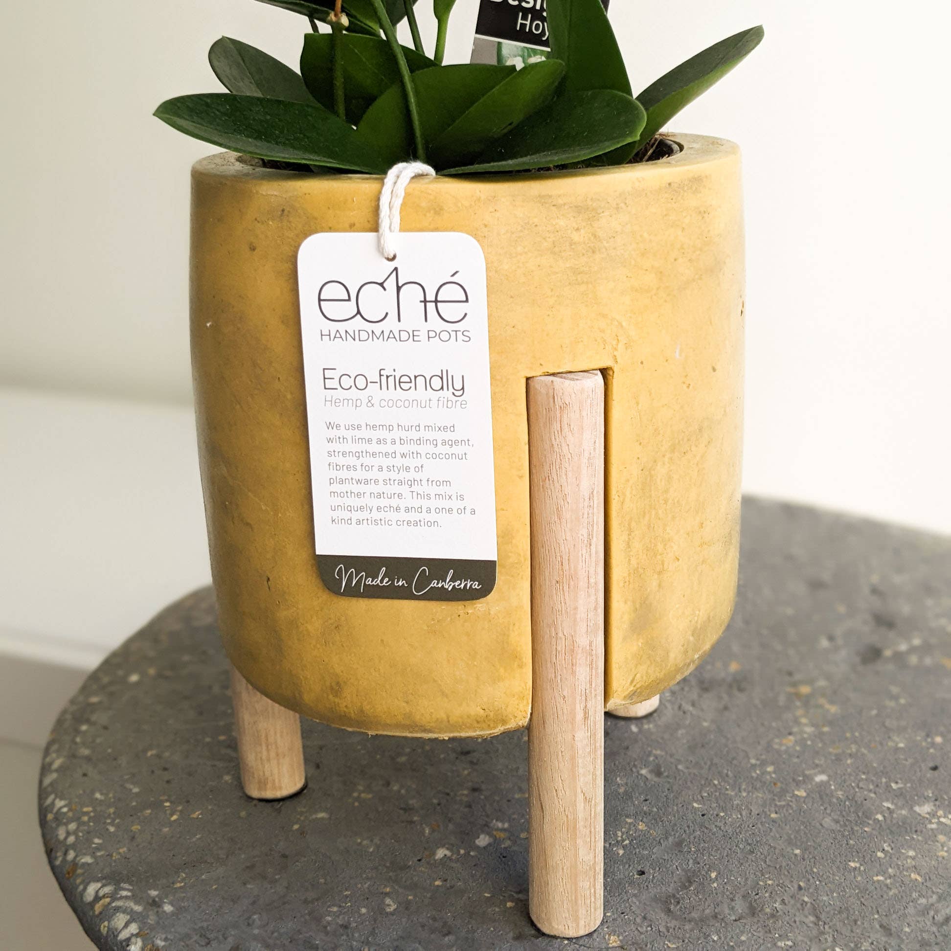 Eché pots - Wholesale Plant pot - Hemp & Coconut fibre 3-Leg Pot, Handcrafted in Australia6